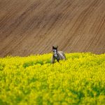 Nowoczesne działania SEO w kontekście transformacji dotykających w algorytmach Google i kanałach społecznościowych